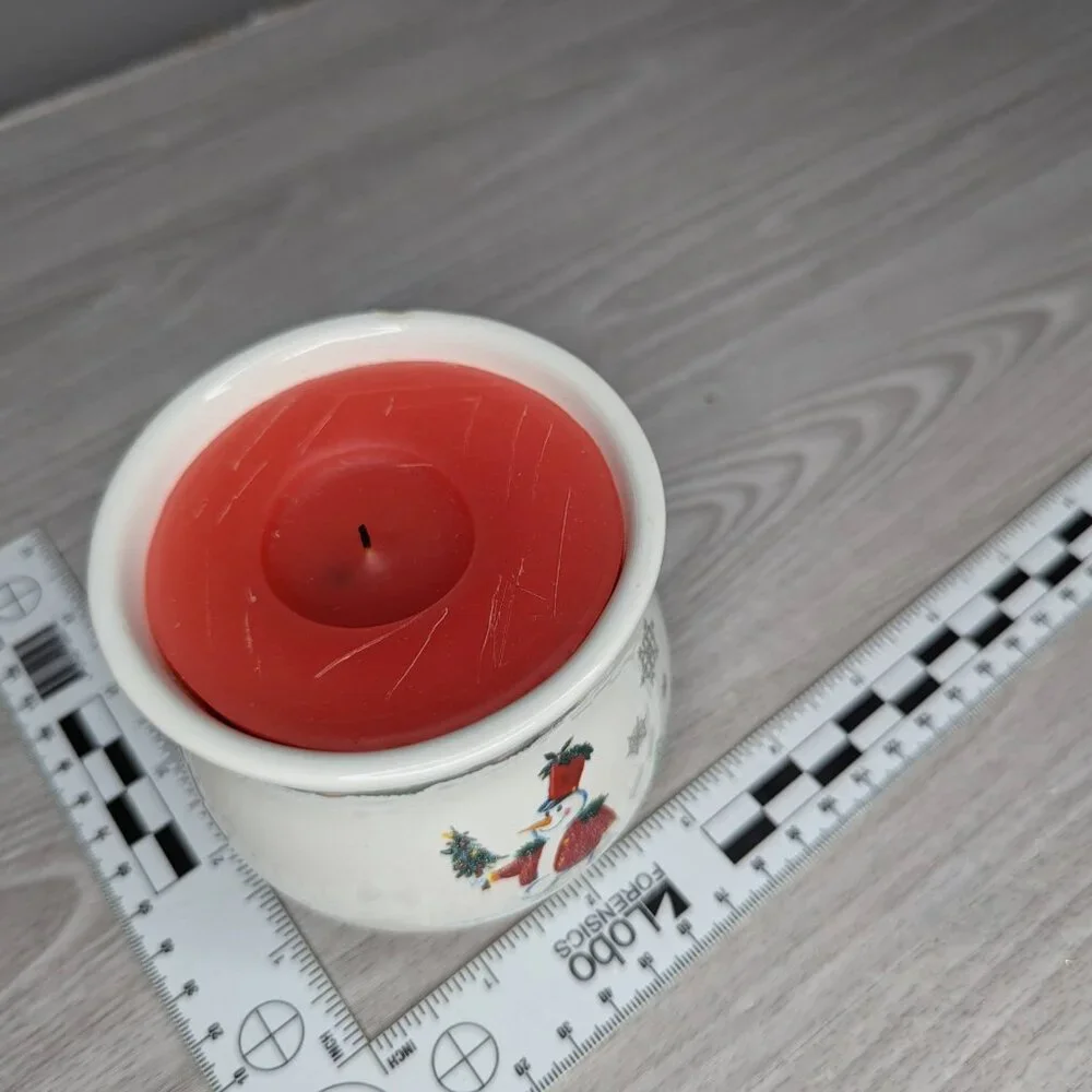The White Barn Candle Co Snow Friends Collection Cinnamon Stick